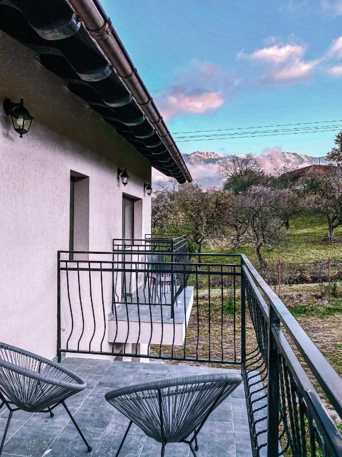 Transylvania Mountain View Cdi Bran  Eksteriør bilde