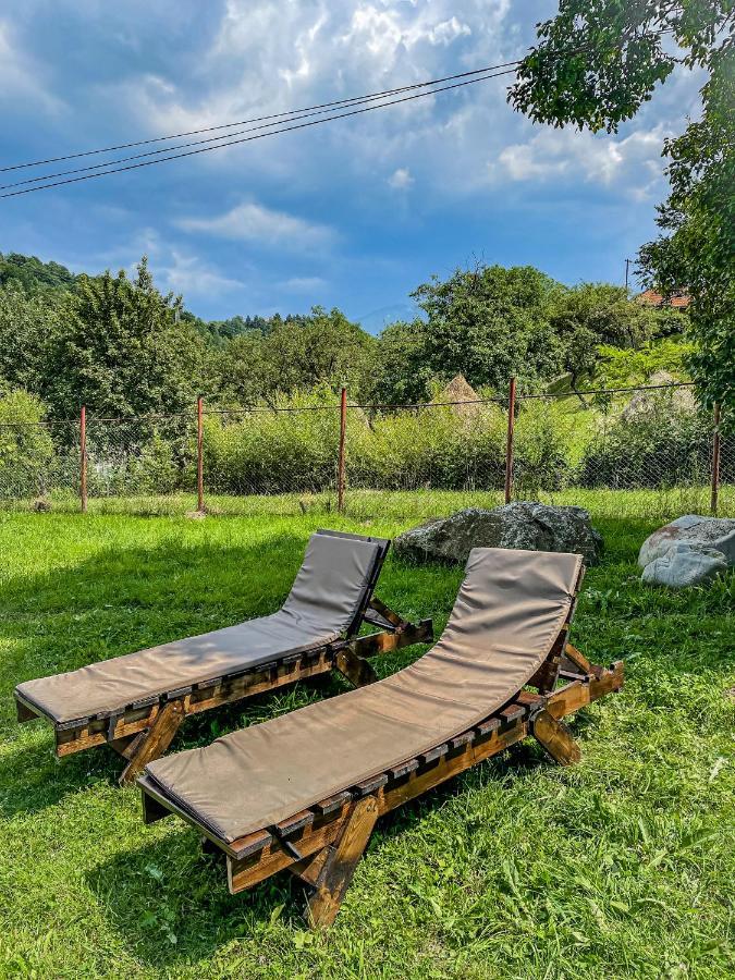 Transylvania Mountain View Cdi Bran  Eksteriør bilde