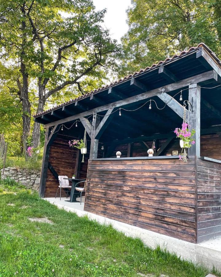 Transylvania Mountain View Cdi Bran  Eksteriør bilde