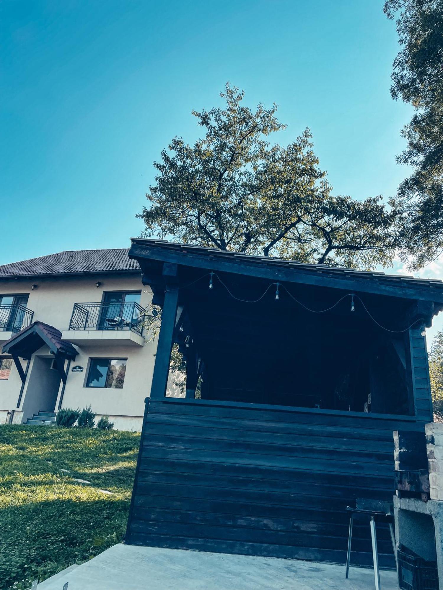 Transylvania Mountain View Cdi Bran  Eksteriør bilde